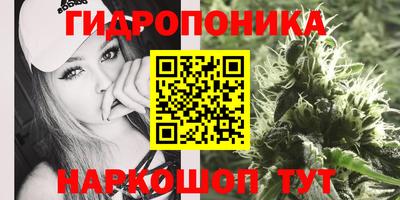 мдпв Усть-Илимск